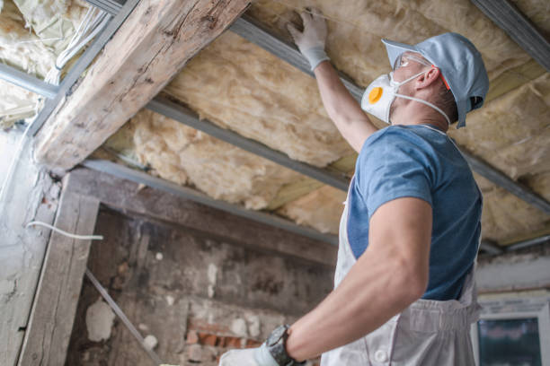 Best Insulation for Specific Applications in Decordova, TX