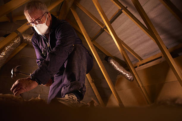 Best Residential Insulation in Decordova, TX