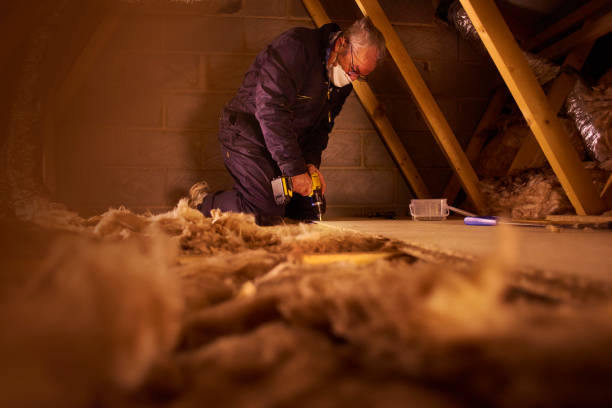 Best Spray Foam Insulation in Decordova, TX