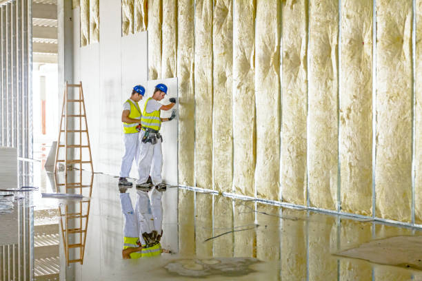 Best Cellulose Insulation in Decordova, TX
